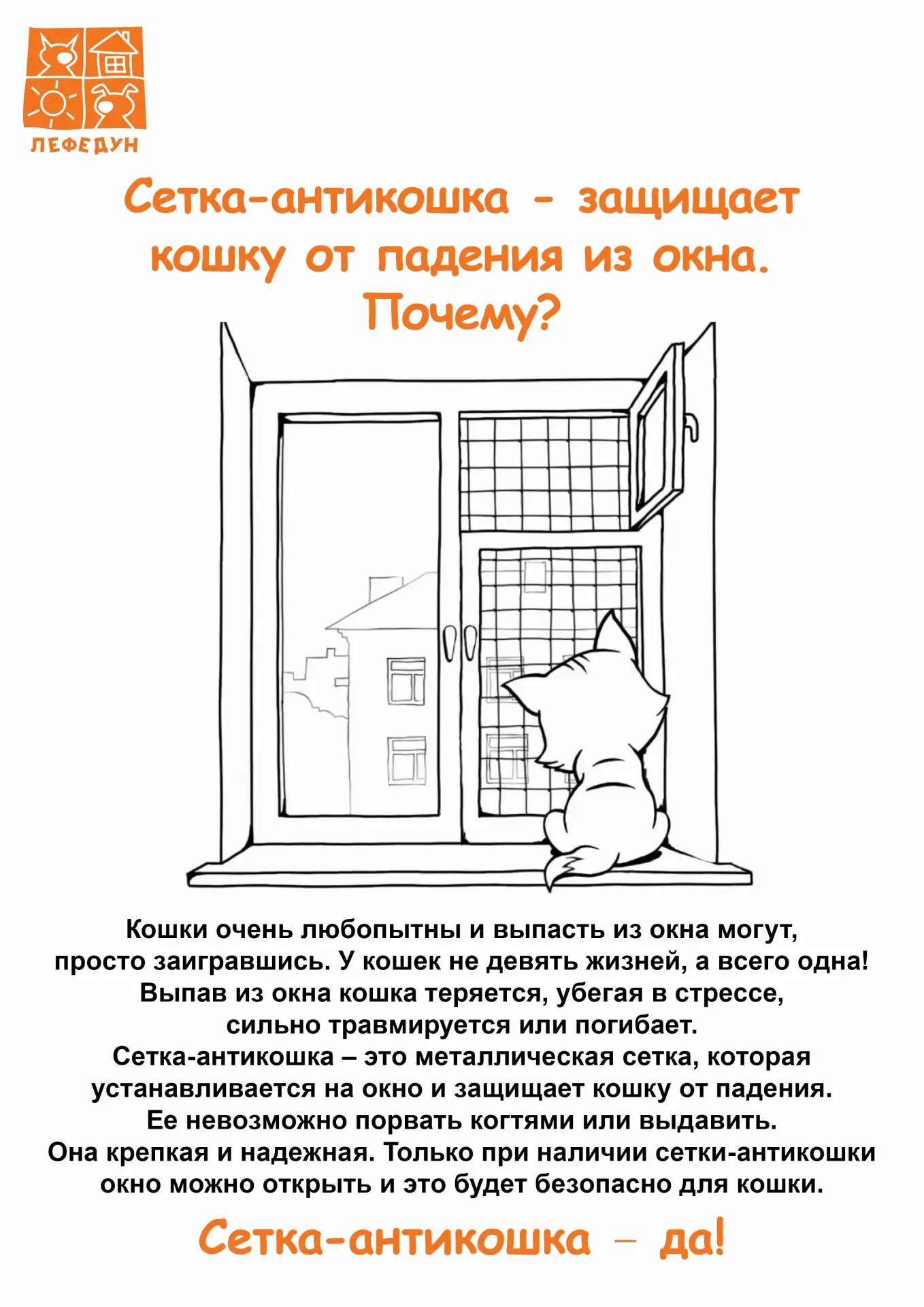 Как помочь бездомным животным пережить жару: простые советы
