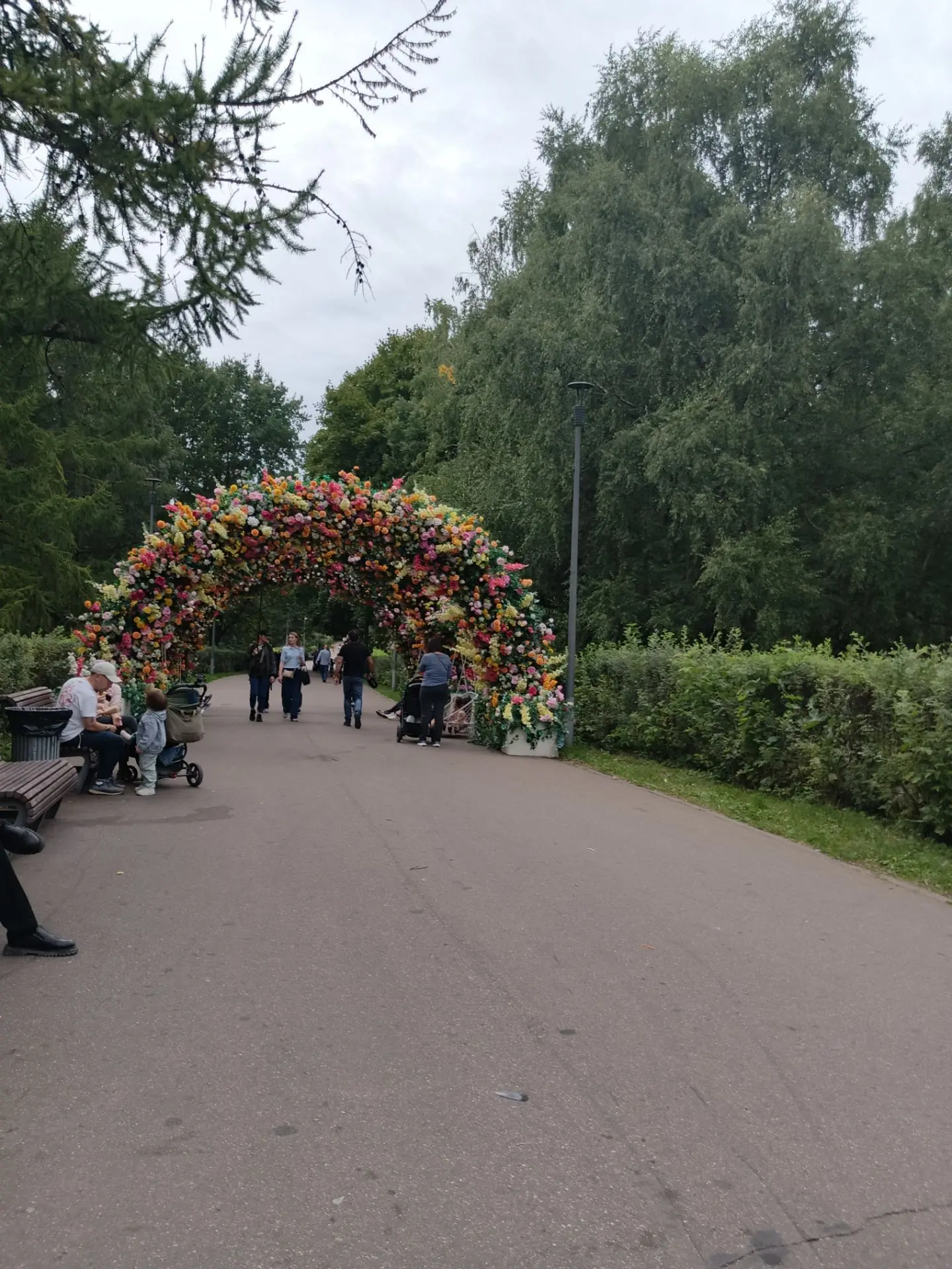На проспекте Вернадского делали переход через улицу, рядом вот такую красоту проходили 😊