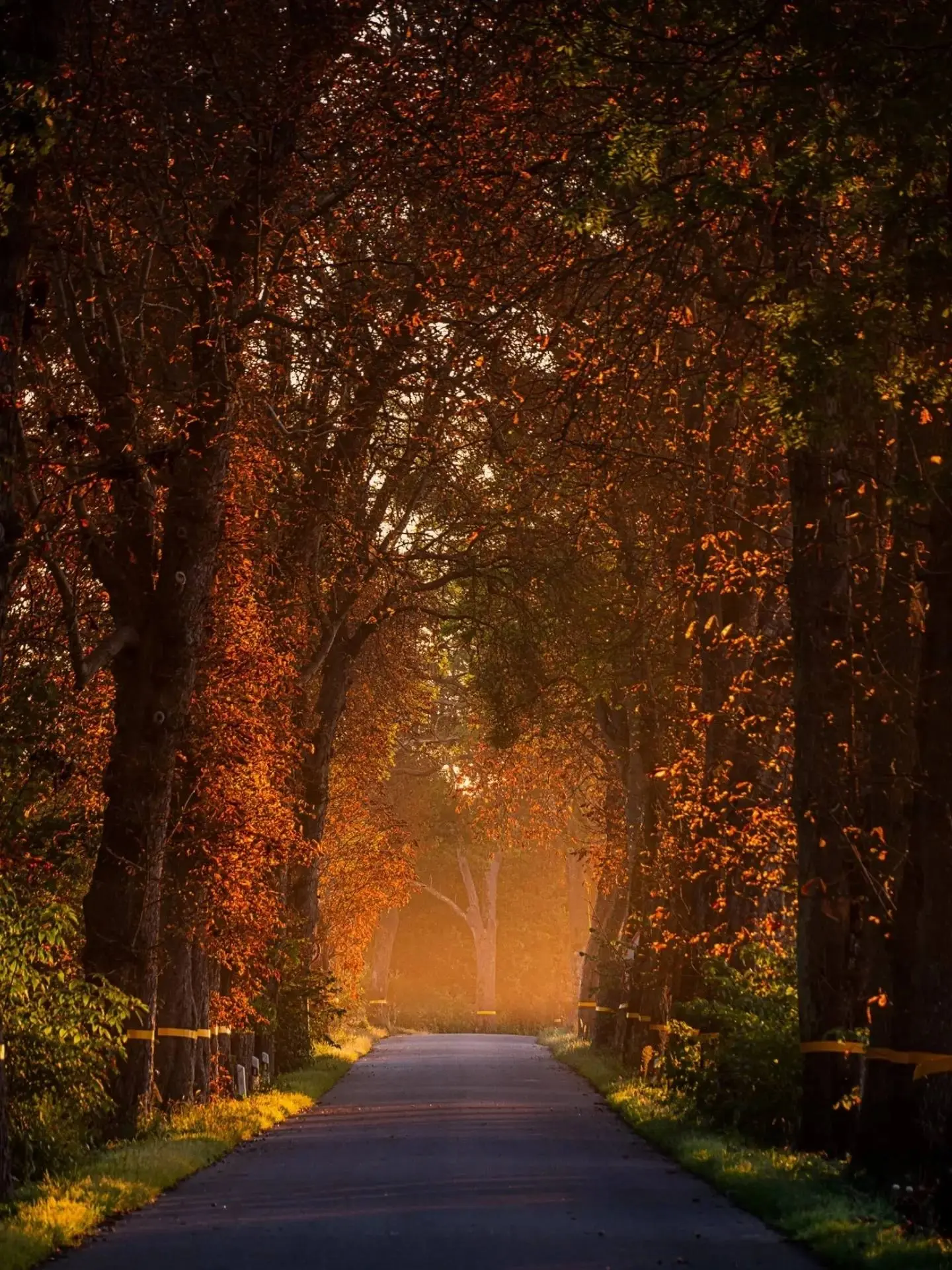В окружении осенней красоты🍂