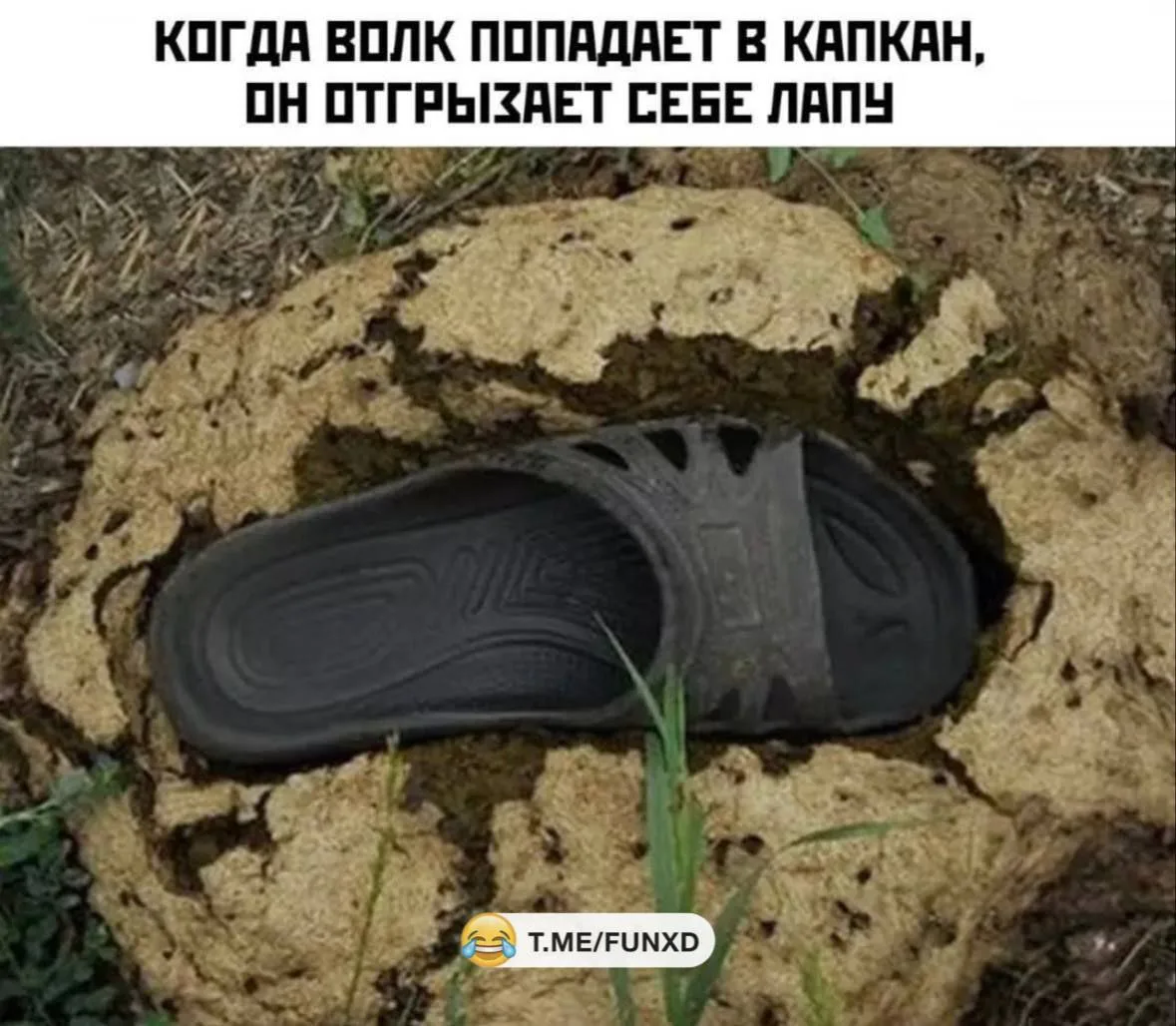 Одна моя родственница в детстве была замечена в странной тяге к коровьим лепёшкам. Она находила их г