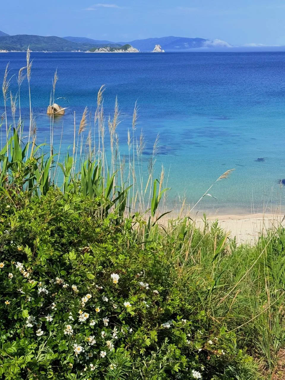 Это лето запомнится яркими путешествиями🤩