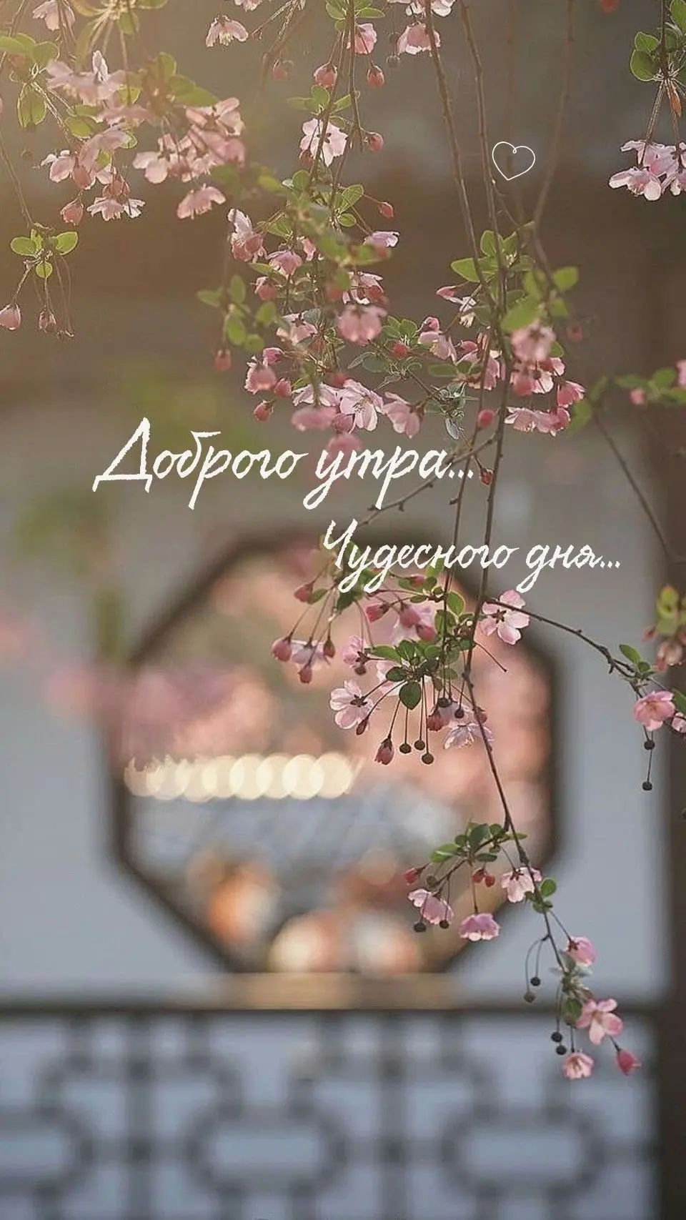 #доброеутро