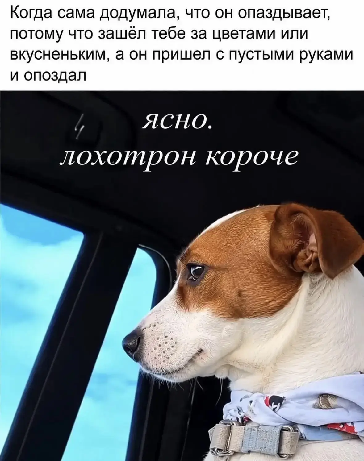 Без подарков не принимаем