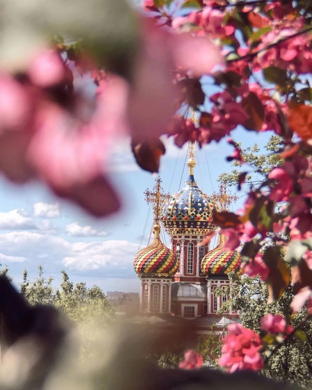 😍 Город сейчас особенно красивый — уже зацвели деревья, и если хочется устроить себе прогулку с весе