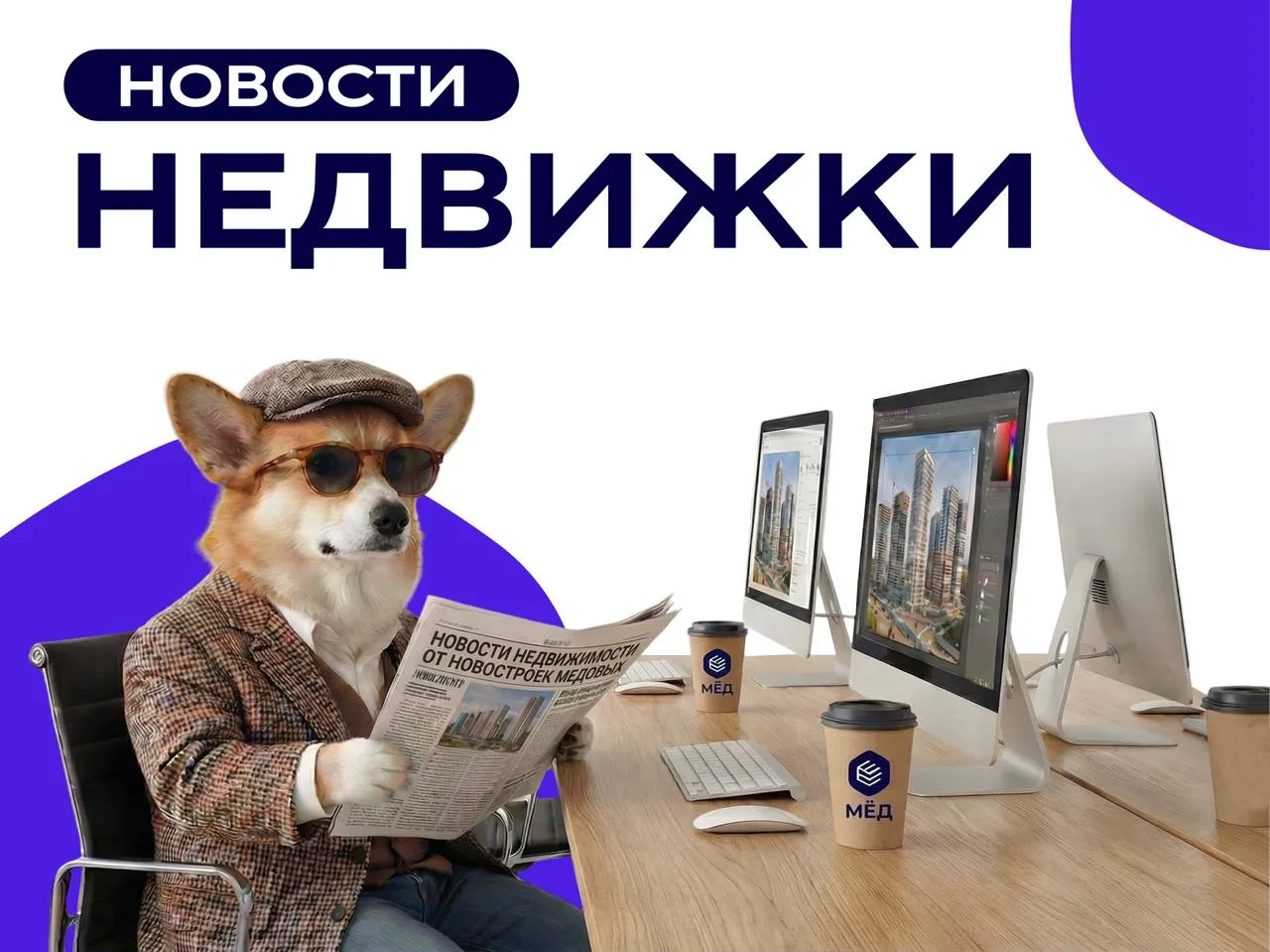 ☀️ На следующей неделе в Петербурге весна до 14°: коротко о хороших новостях и не очень  Собрали гла