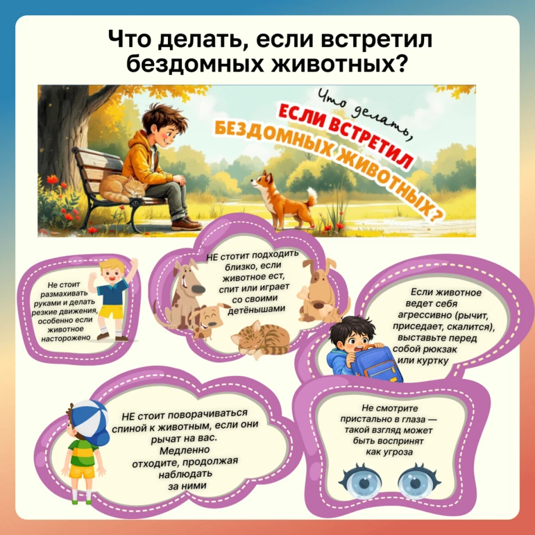 «Добрый маршрут»: знаем, как спасти жизнь!