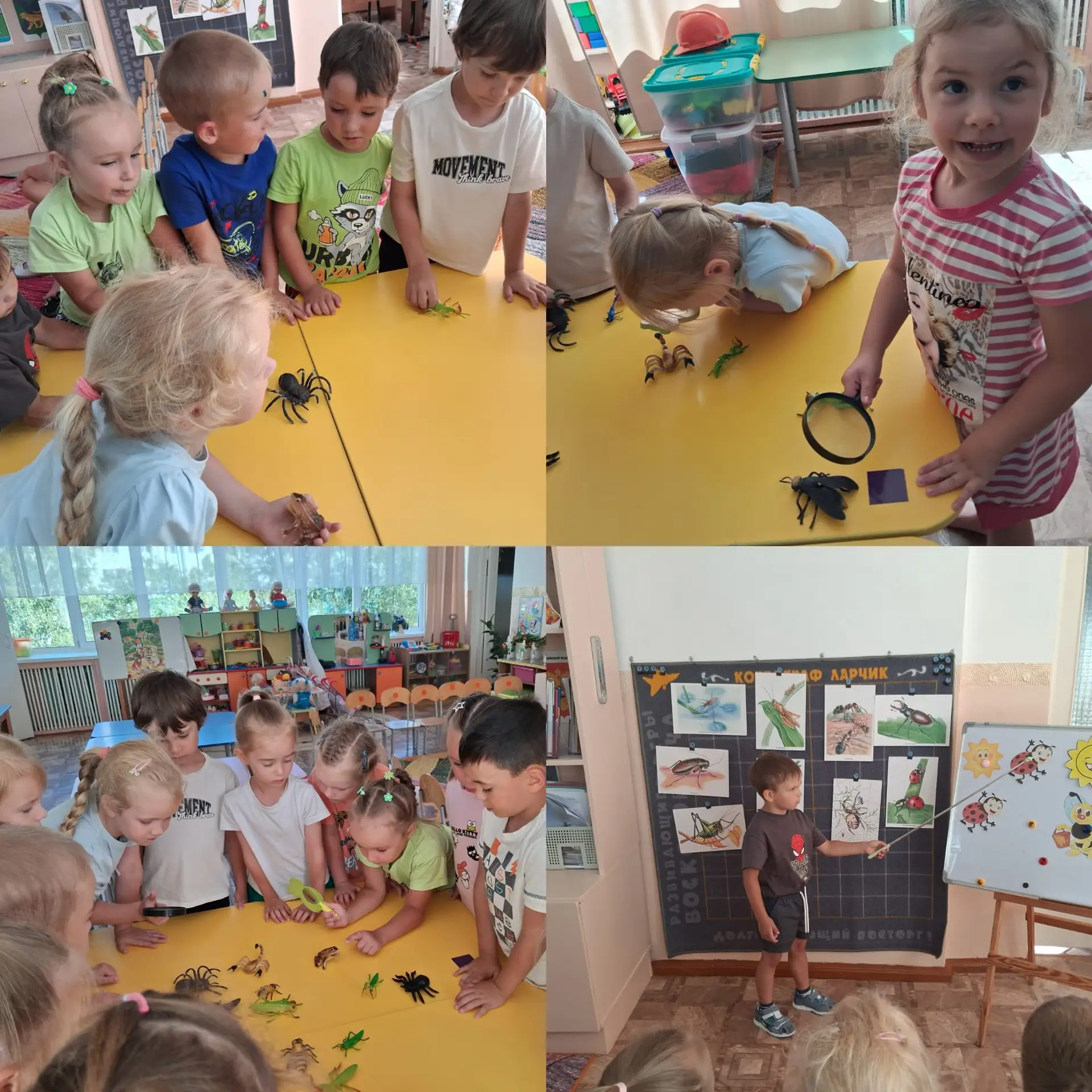 🦋🪲Среди всех представителей живой природы, насекомые являются одними из самых доступн...