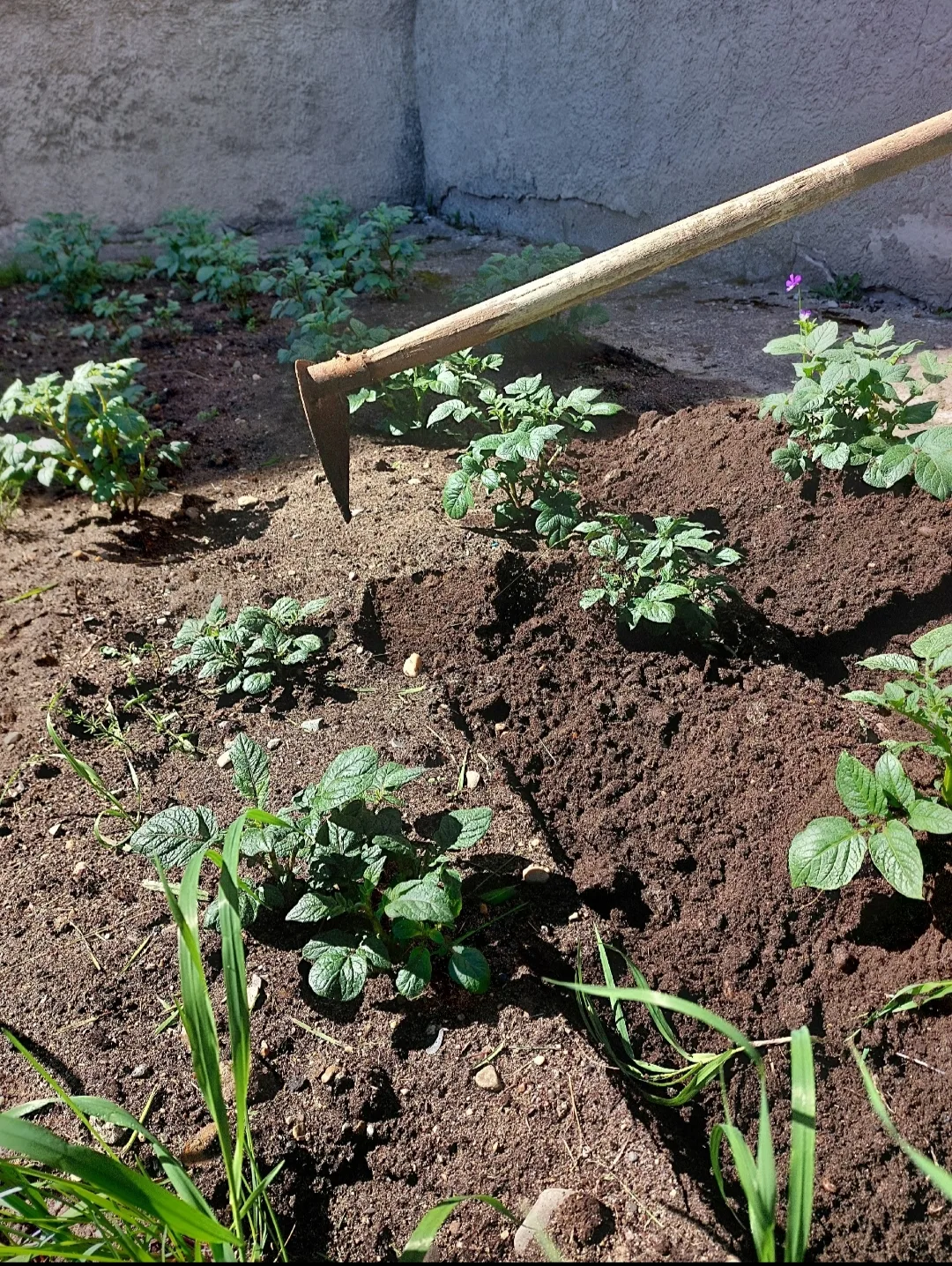 Лето в детском саду — это маленькая жизнь, полная открытий! ☀️