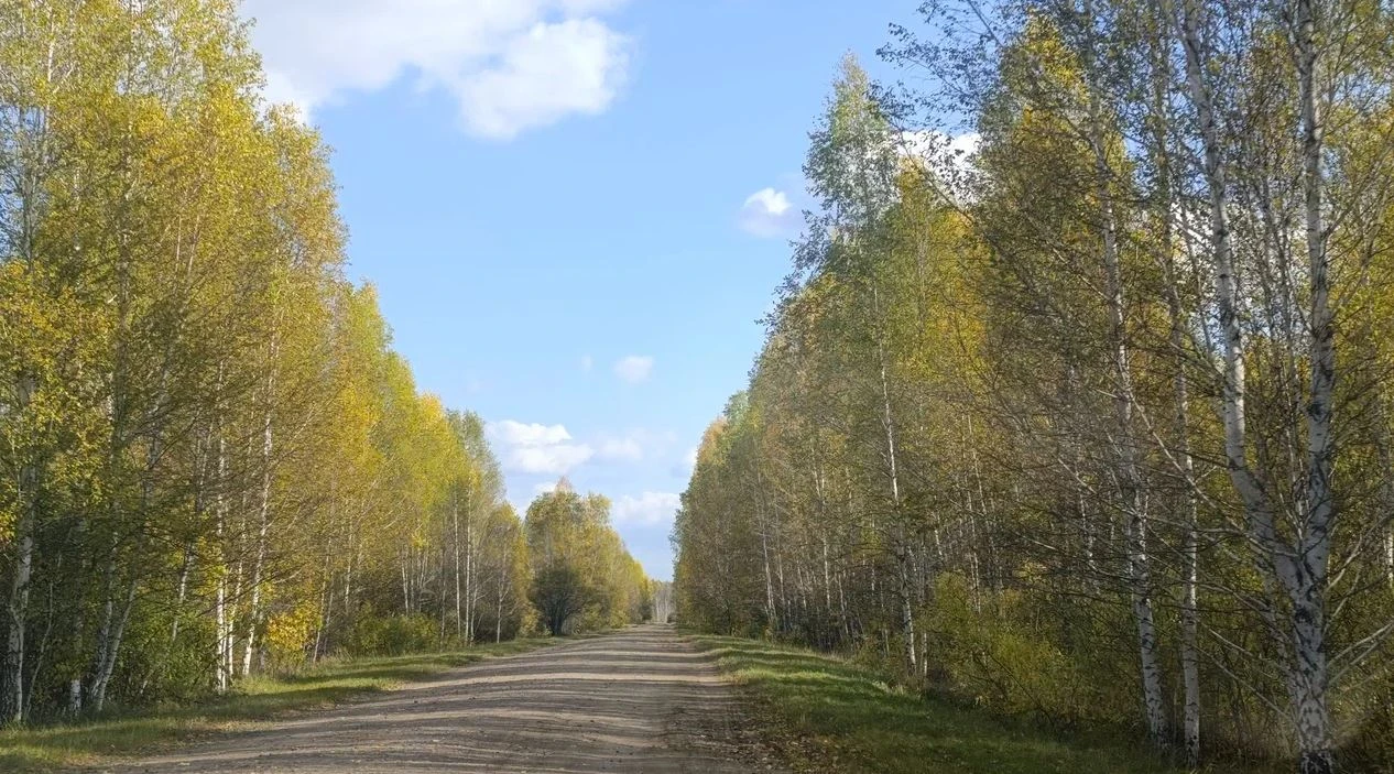 Последний тёплый день в этом году. Сегодня было +24, а уже завтра наступит холодина, ст...