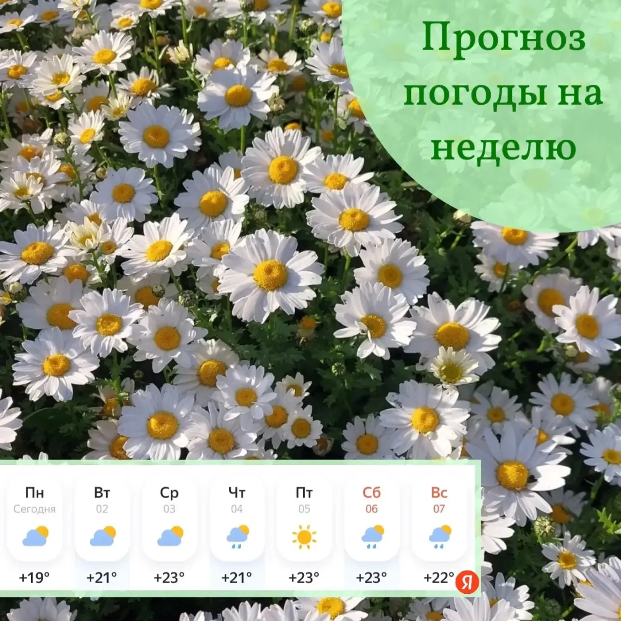 Доброе утро, друзья! ☀️ Сегодня первый день лета, а значит, пора загадывать желания и с...