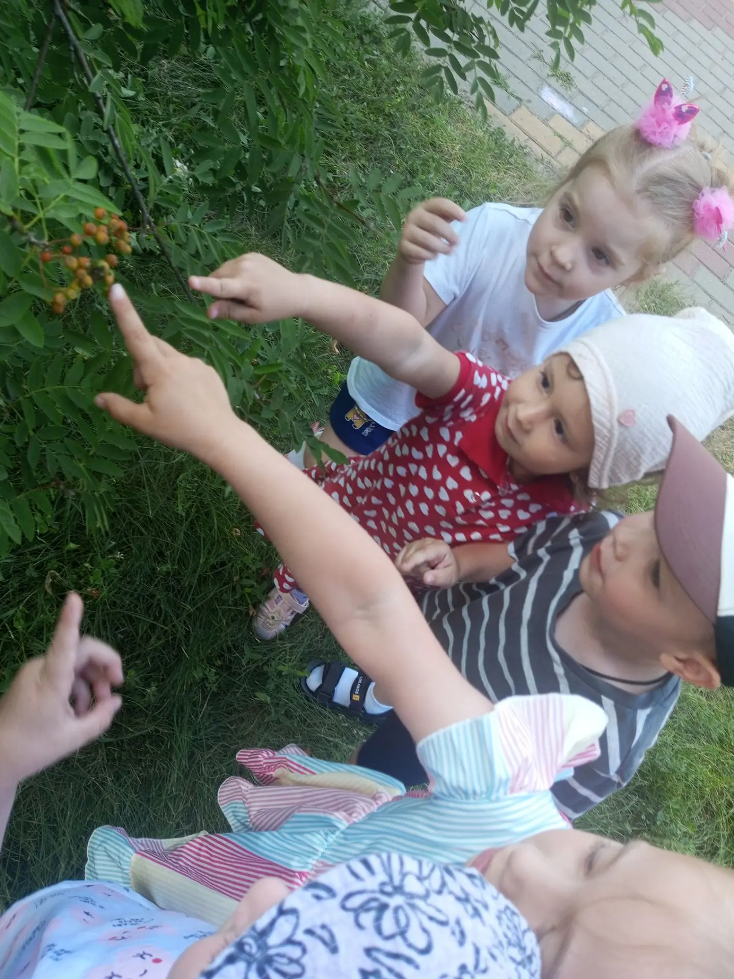 Прогулка в младшей группе , наблюдаем за природой!

Во время прогулки ребята с интересом наблюдали з