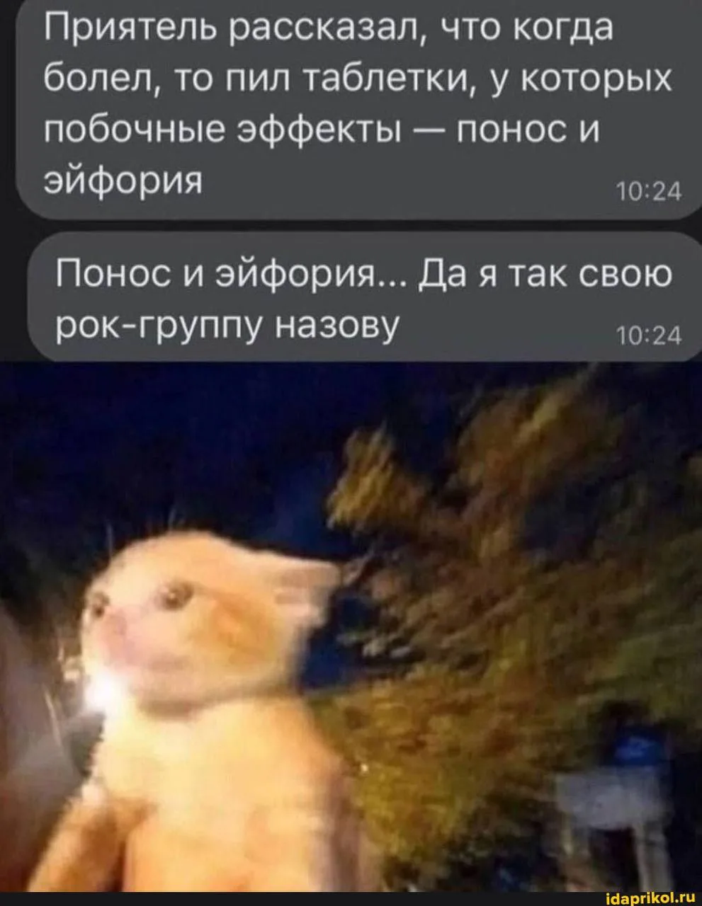ПОБОЧКИ!