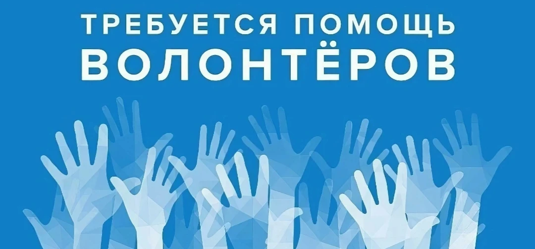 Здравствуйте  дорогие участники группы ,нужны волонтёры на субботник, на уборку  кладби...