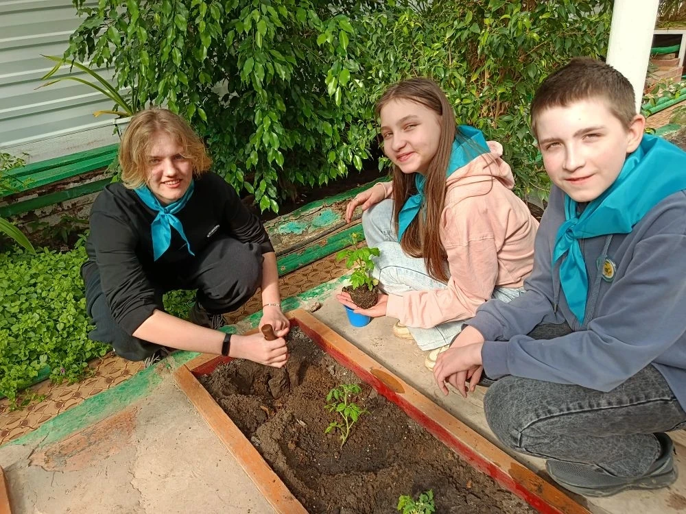 Теплица, томаты и заслуженная ПОБЕДА! 🍅✨  Сегодня в нашей школьной теплице было по-настоящему жарко!
