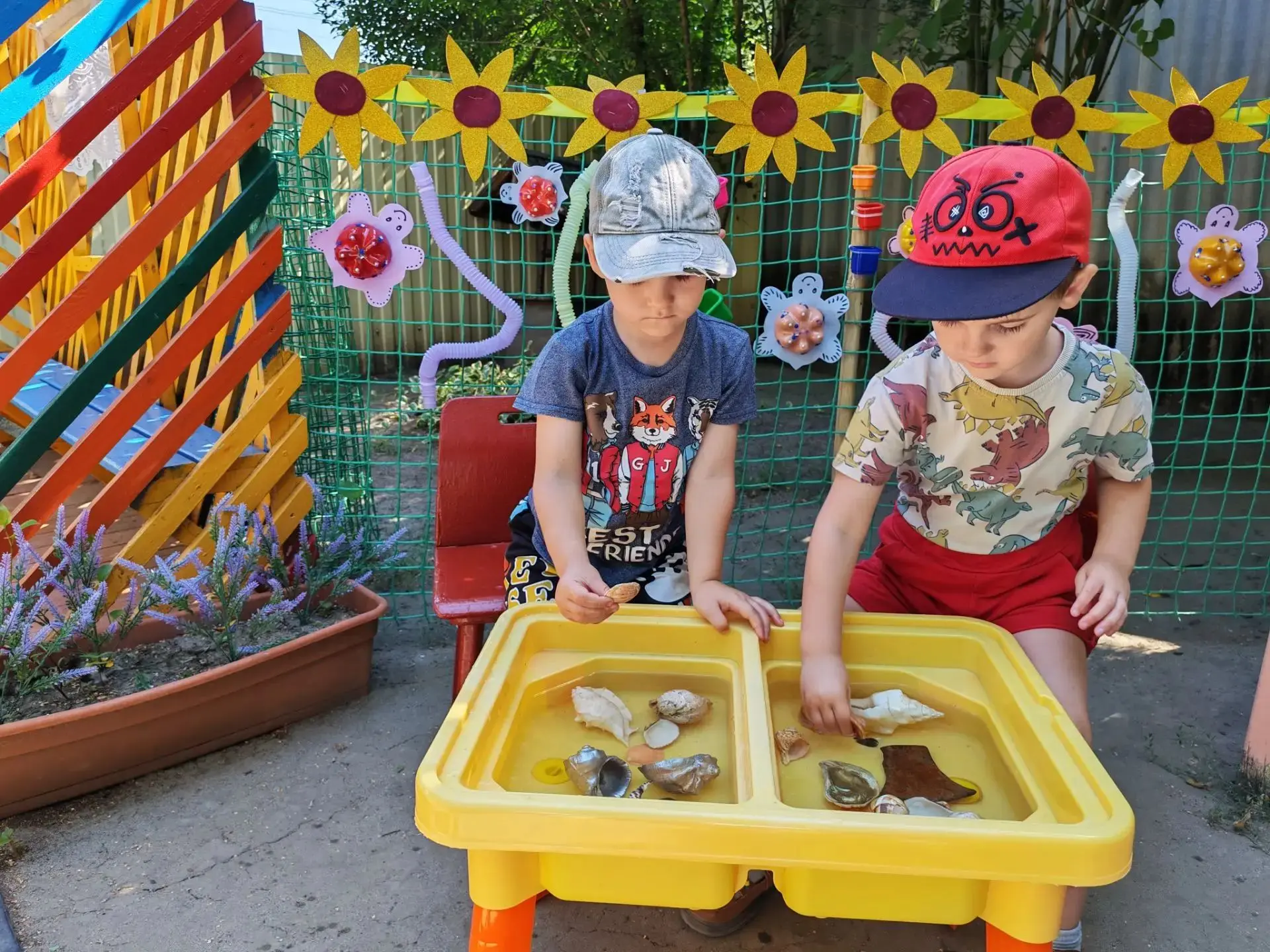 🐚День шумящей ракушки🐚