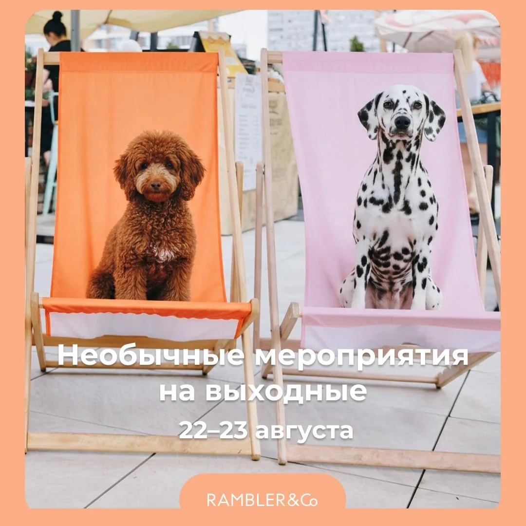 Фестивальное настроение, создание арт-объектов или погружение в мир искусства? Что выби...
