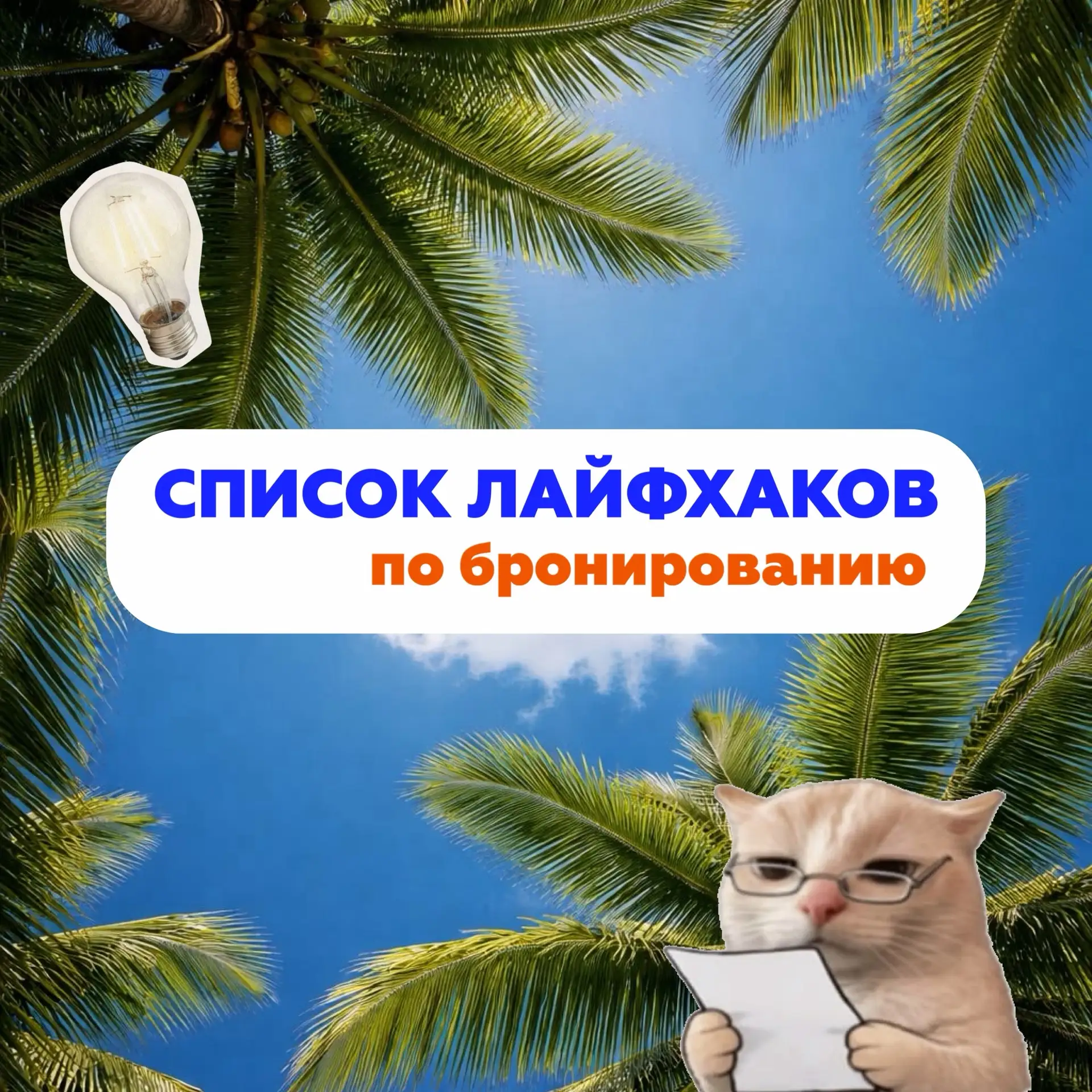 Сегодня делимся полезными лайфхаками, как сэкономить на бронировании отдыха в бархатный...
