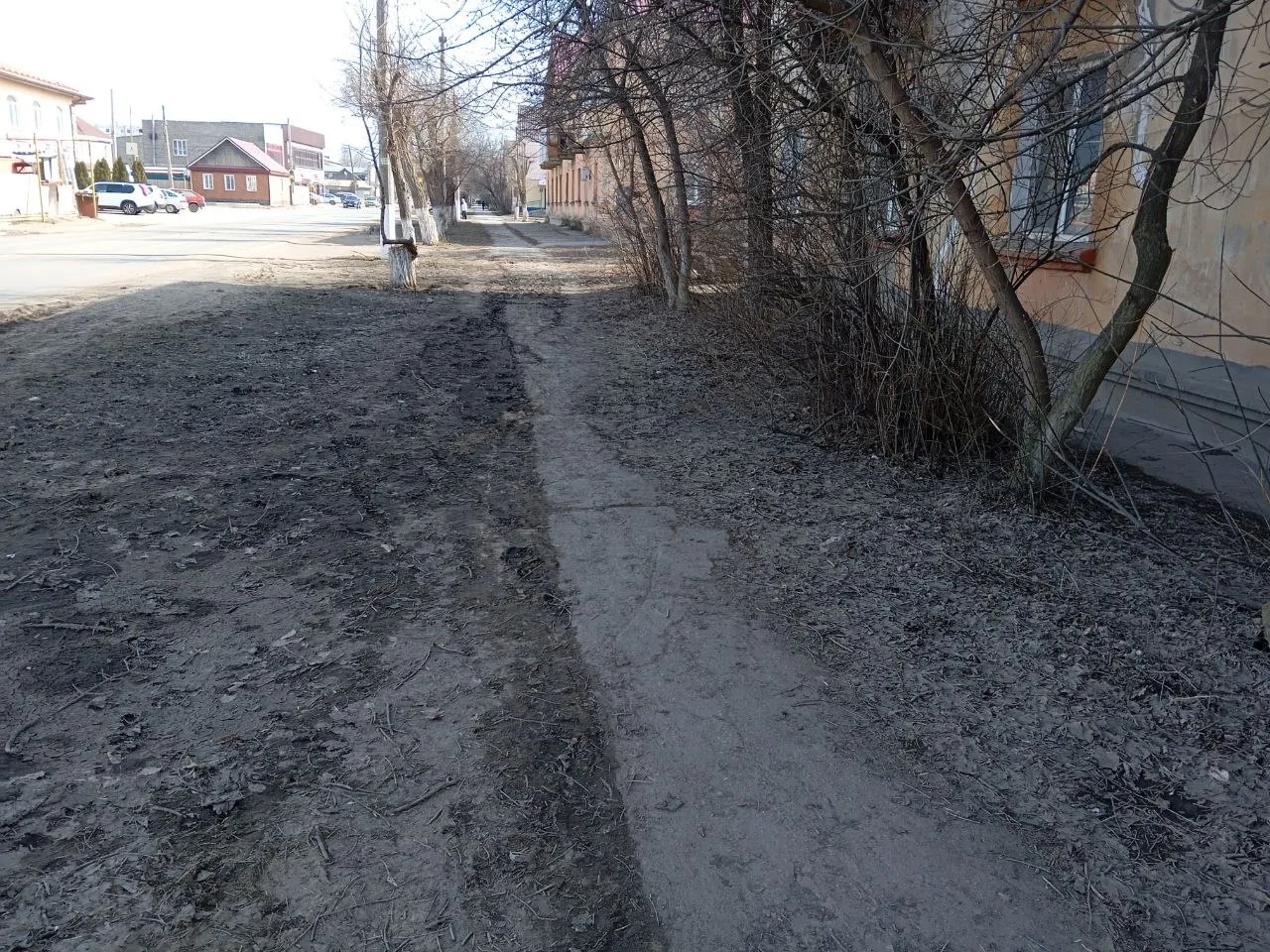 Интересно как будет выглядеть город лет через пять - шесть? 🤦‍♂️  Приятно удивил только тротуар межд