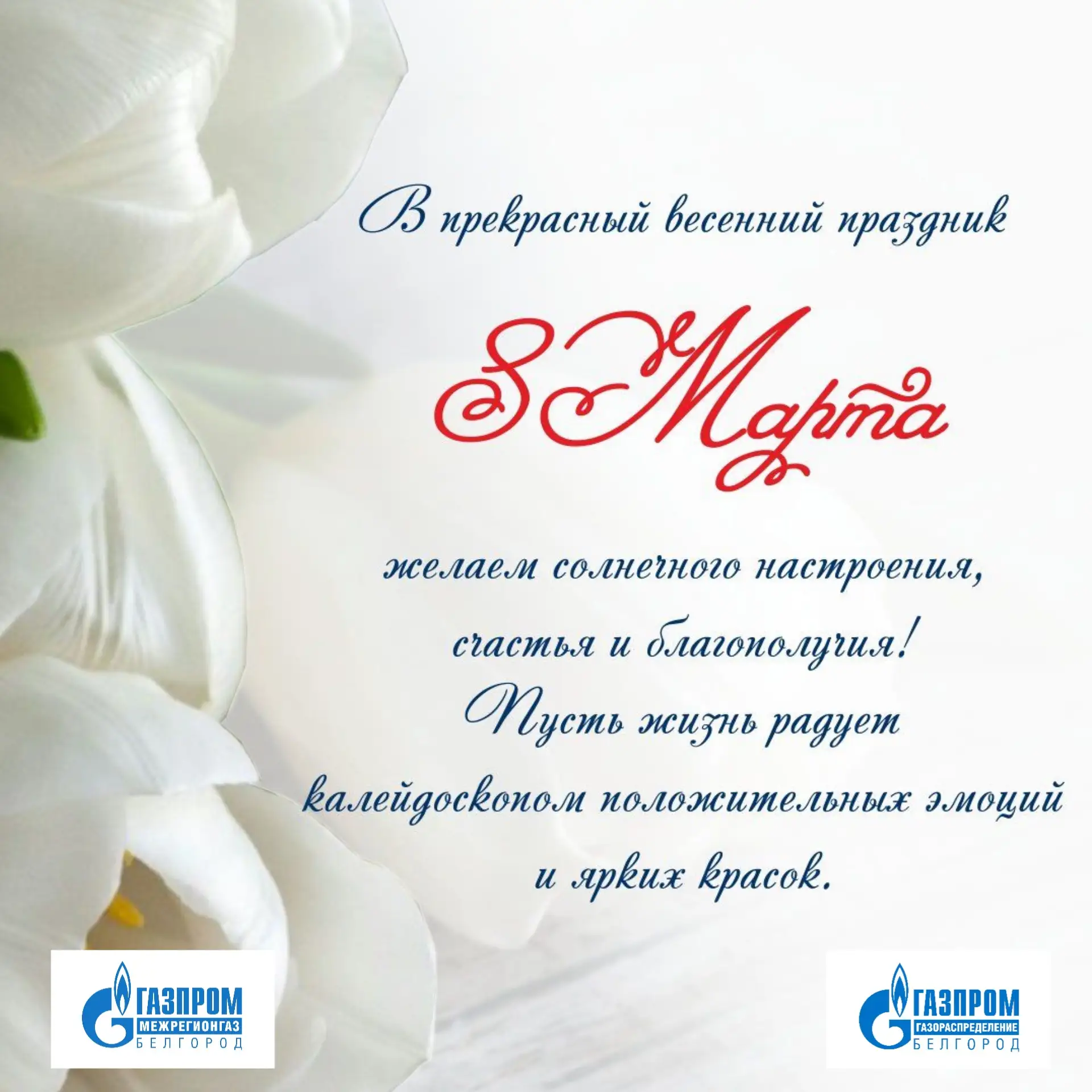 #БелгородскиеГазовыеКомпании