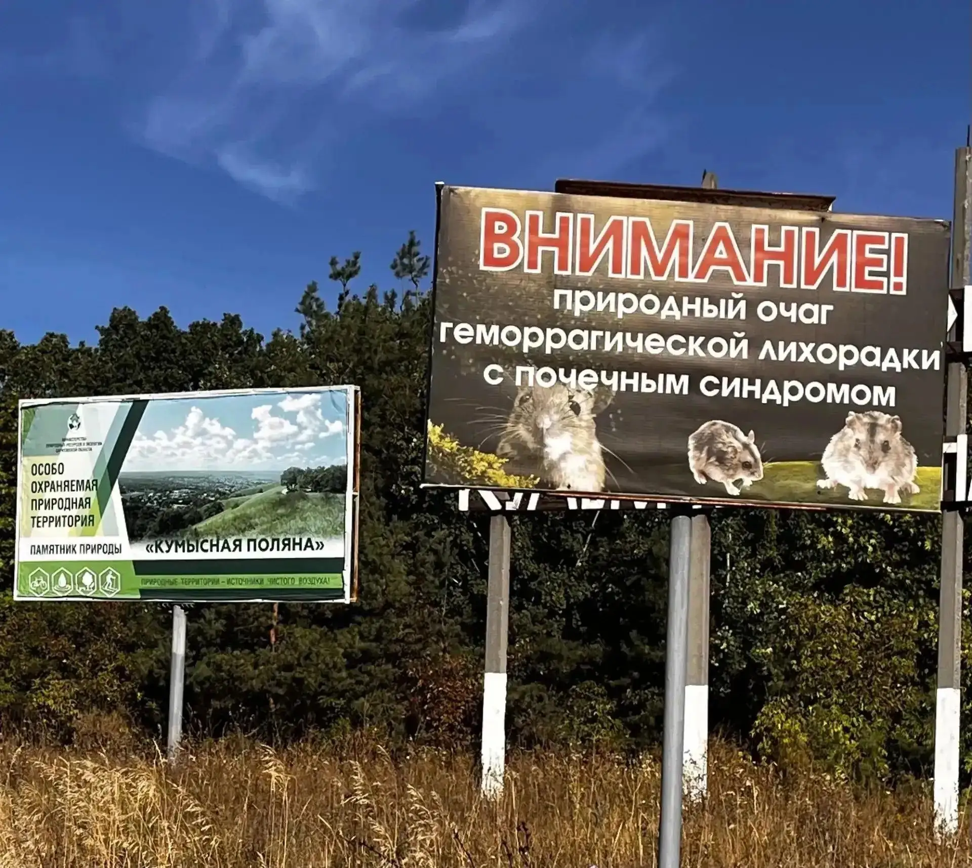 Саратовцев просят воздержаться от посещения Кумысной поляны