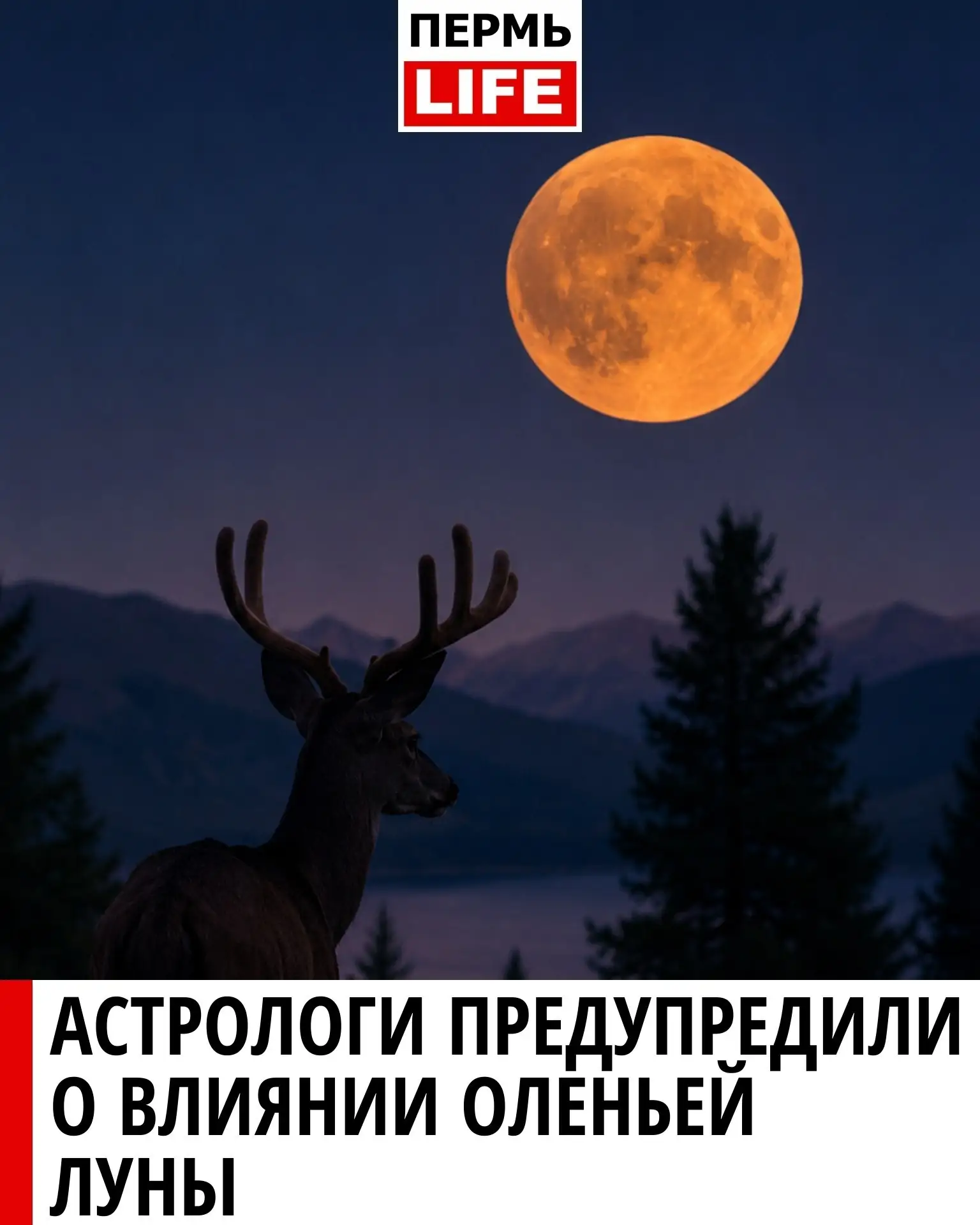 🌕 Астрологи предупредили о влиянии Оленьей Луны

По словам астрологов, 29 июля ожидается июльское п