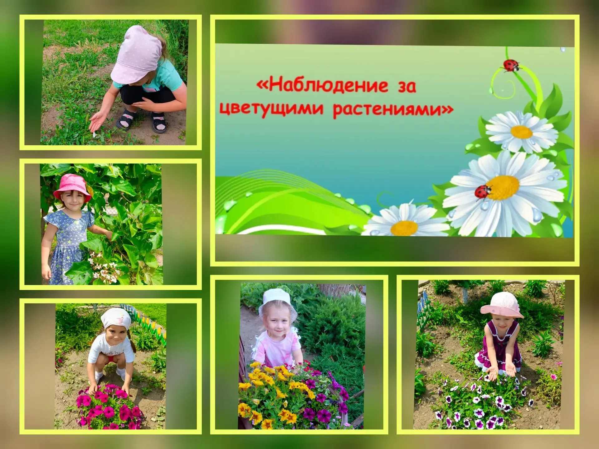Лето – одно из самых благоприятных времен года для наблюдений за изменениями в природе....
