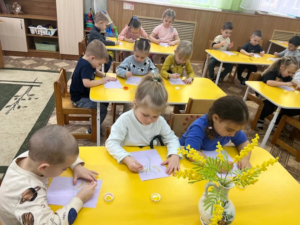 Нежная мимоза.