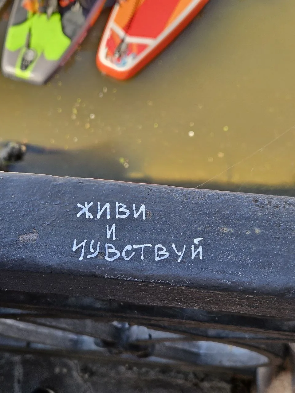 Живи и чувствуй