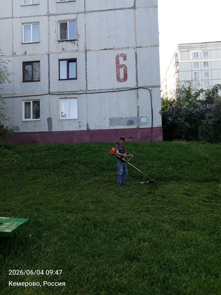 Покос территории дома ул.Волгоградская, 6.