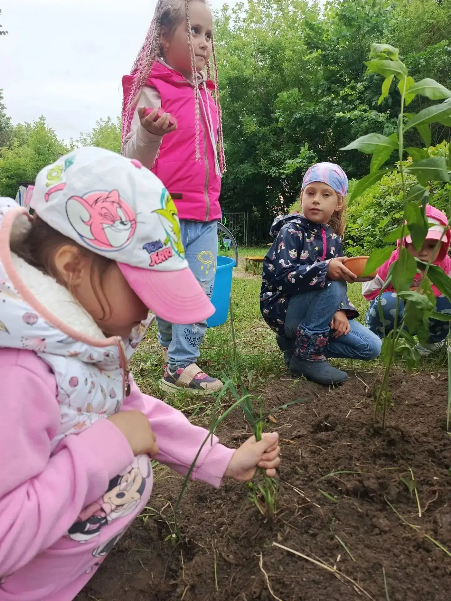 Маленькие садовники  из гр Капельки  оформили собственную клумбу.