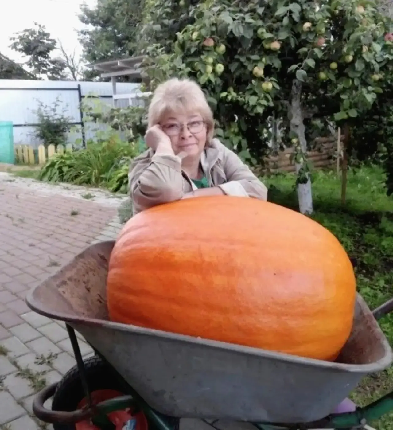 Вот такая тыква у меня созрела)