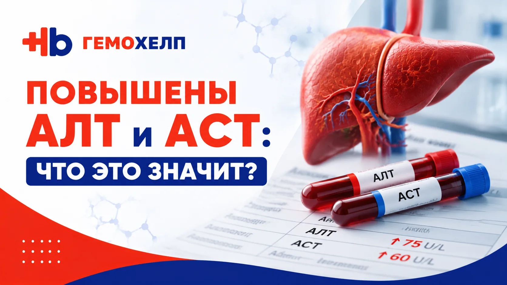Повышены АЛТ и АСТ: что это значит?

Многие узнают о повышении АЛТ и АСТ случайно - во время обычног
