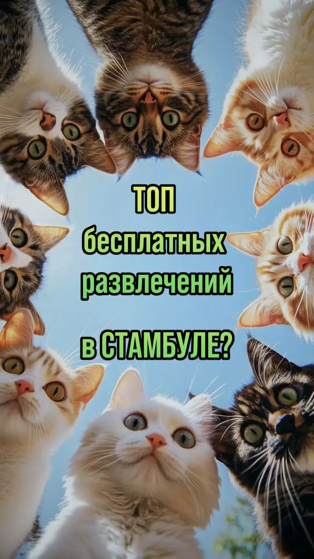Планируете поездку в Стамбул? Ловите идеи, чем можно заняться бесплатно 👇