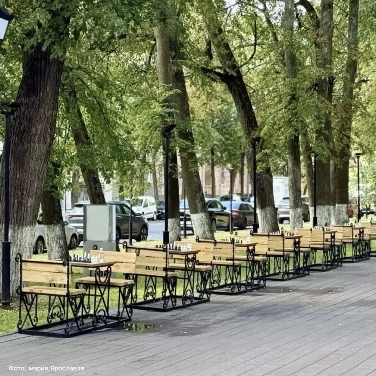♟️ В городе открыли шахматную аллею