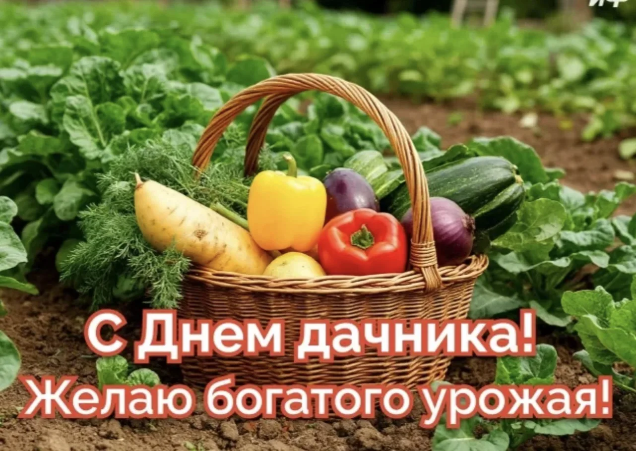 Садовые Феечки, поздравляю всех с нашим праздником. Сегодня день дачника. Как хорошо, что у нас в ст