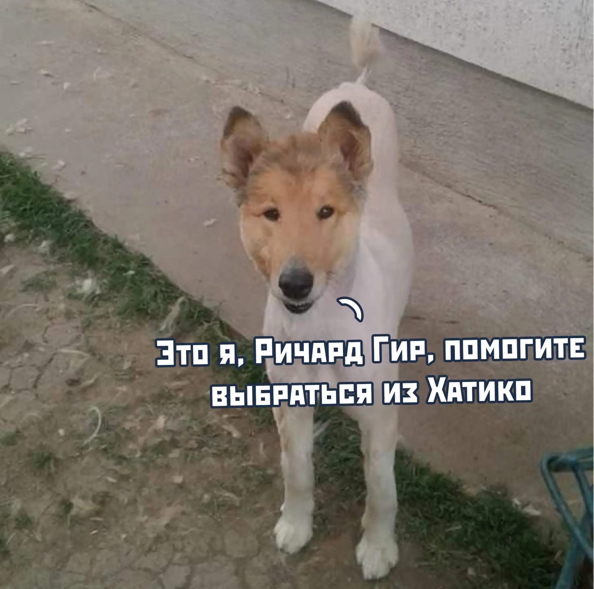 Ричард Гир уже не тот

Комментарии: pikabu.ru/link/S0edybwTfX