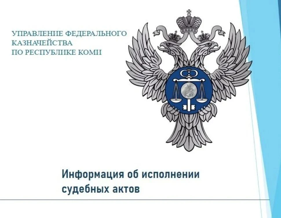 Управление Федерального казначейства по Республике Коми информирует, что ознакомиться с информацией 