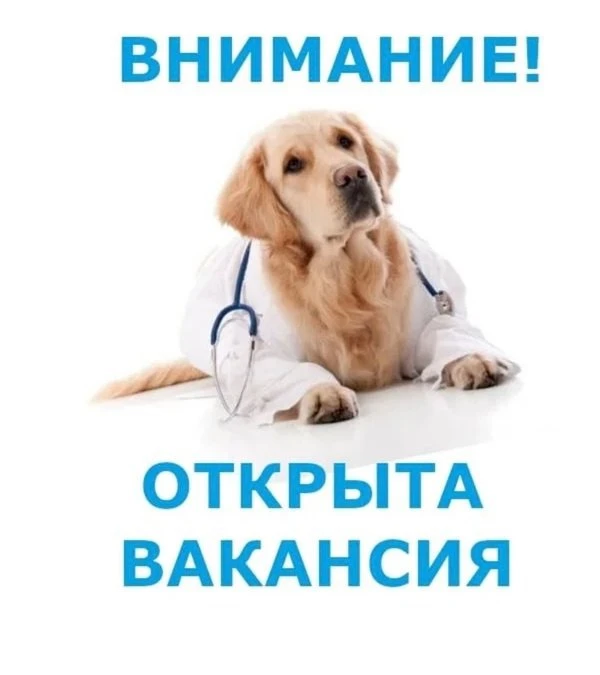 Ищу себе сменщицу- врача и помощницу- ассистента. ❤️