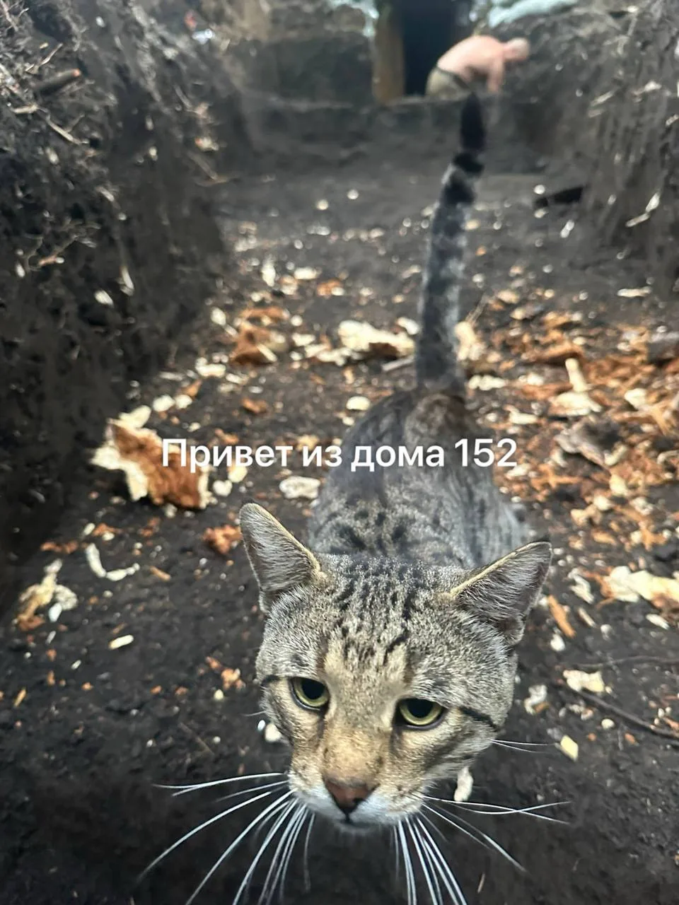 А ты не забыл поучаствовать в лотерее?