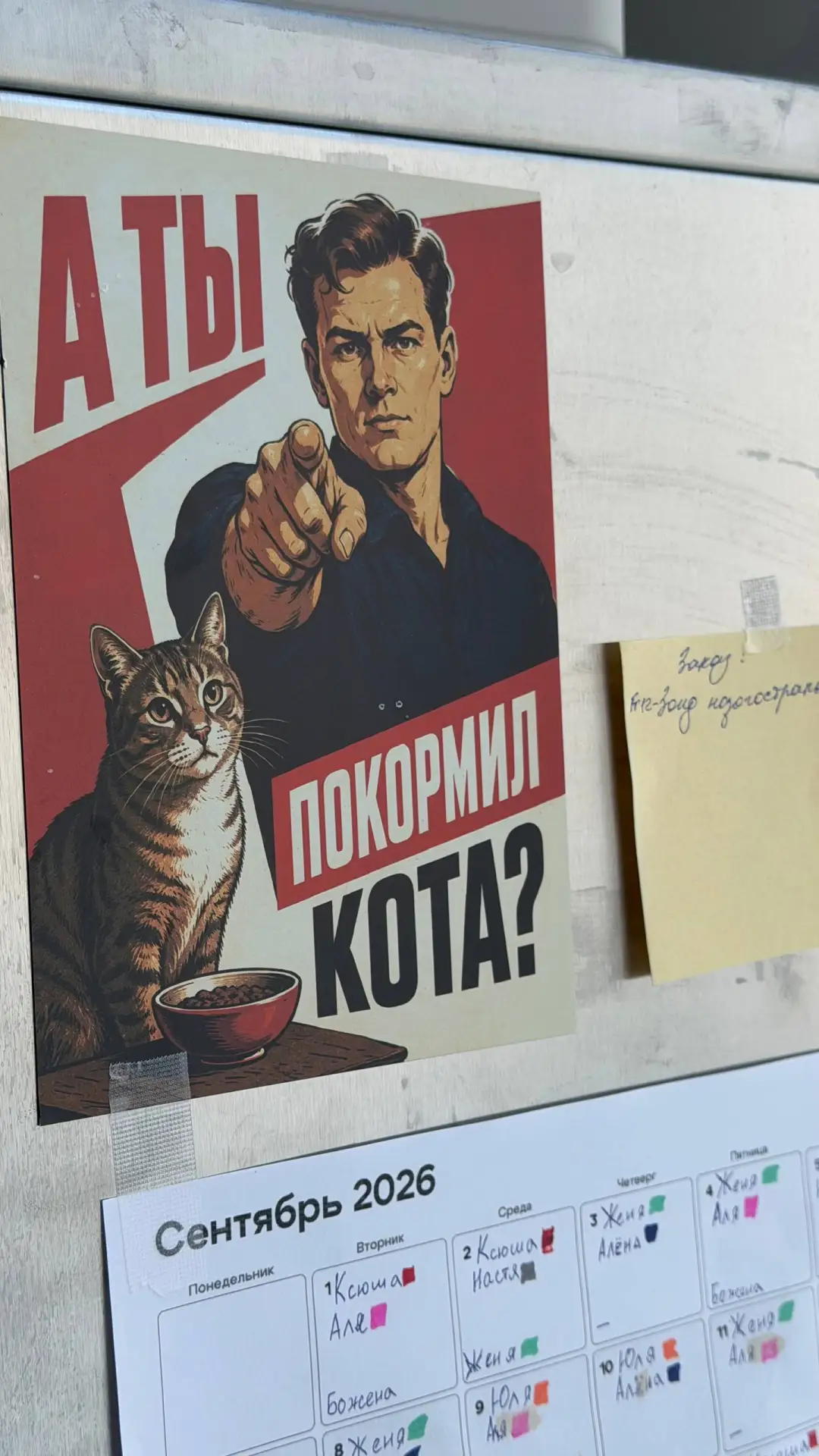 немного любимой vet-рутины 🫂🧡