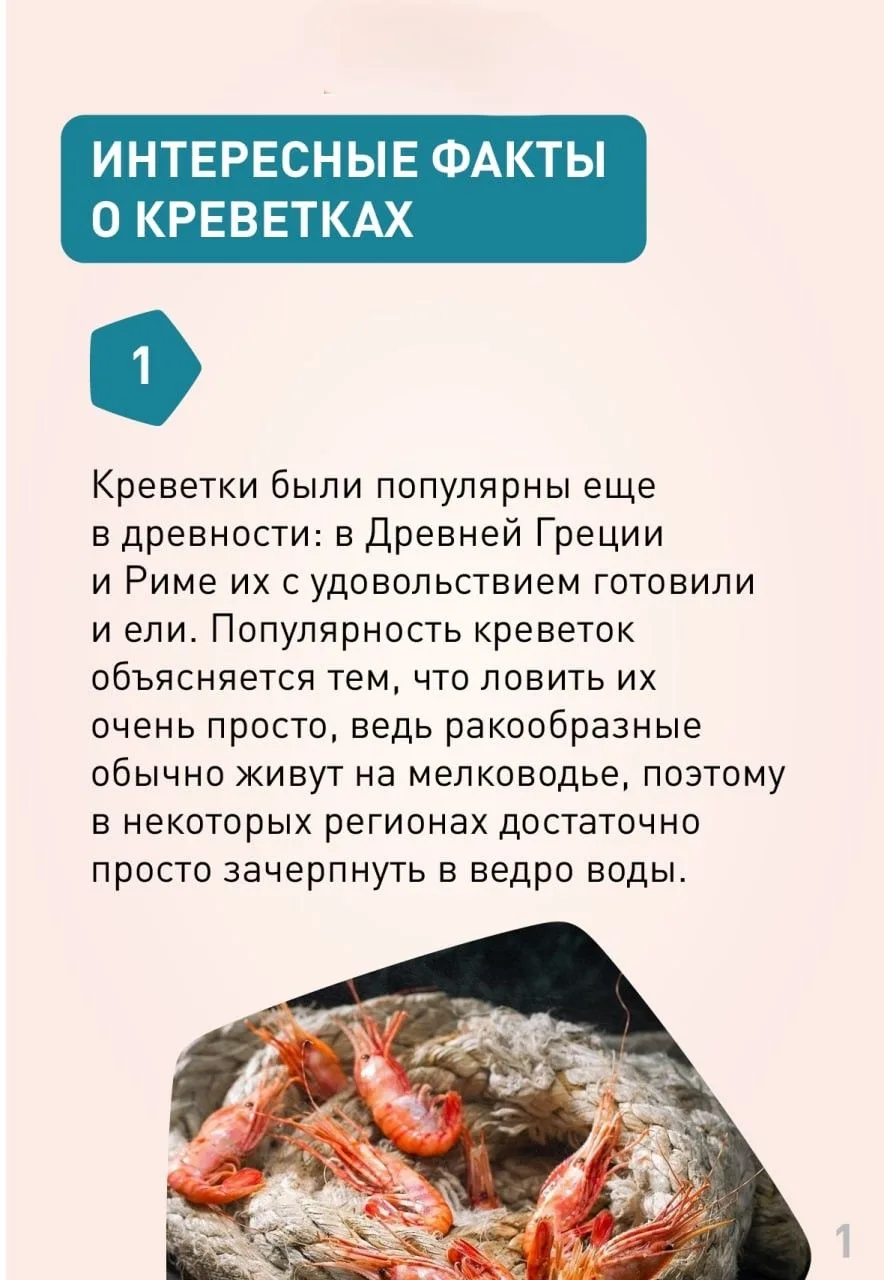 Креветки – один из тех универсальных продуктов, которые включаются практически во все д...