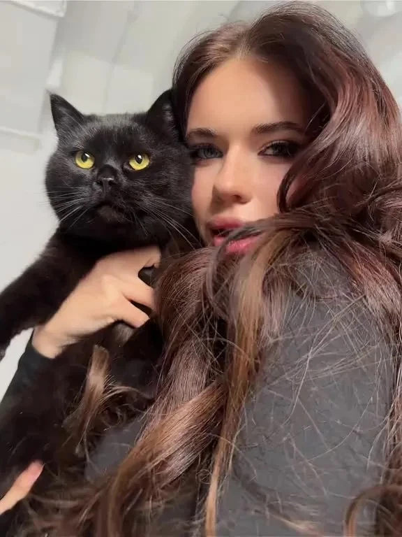 🐈‍⬛