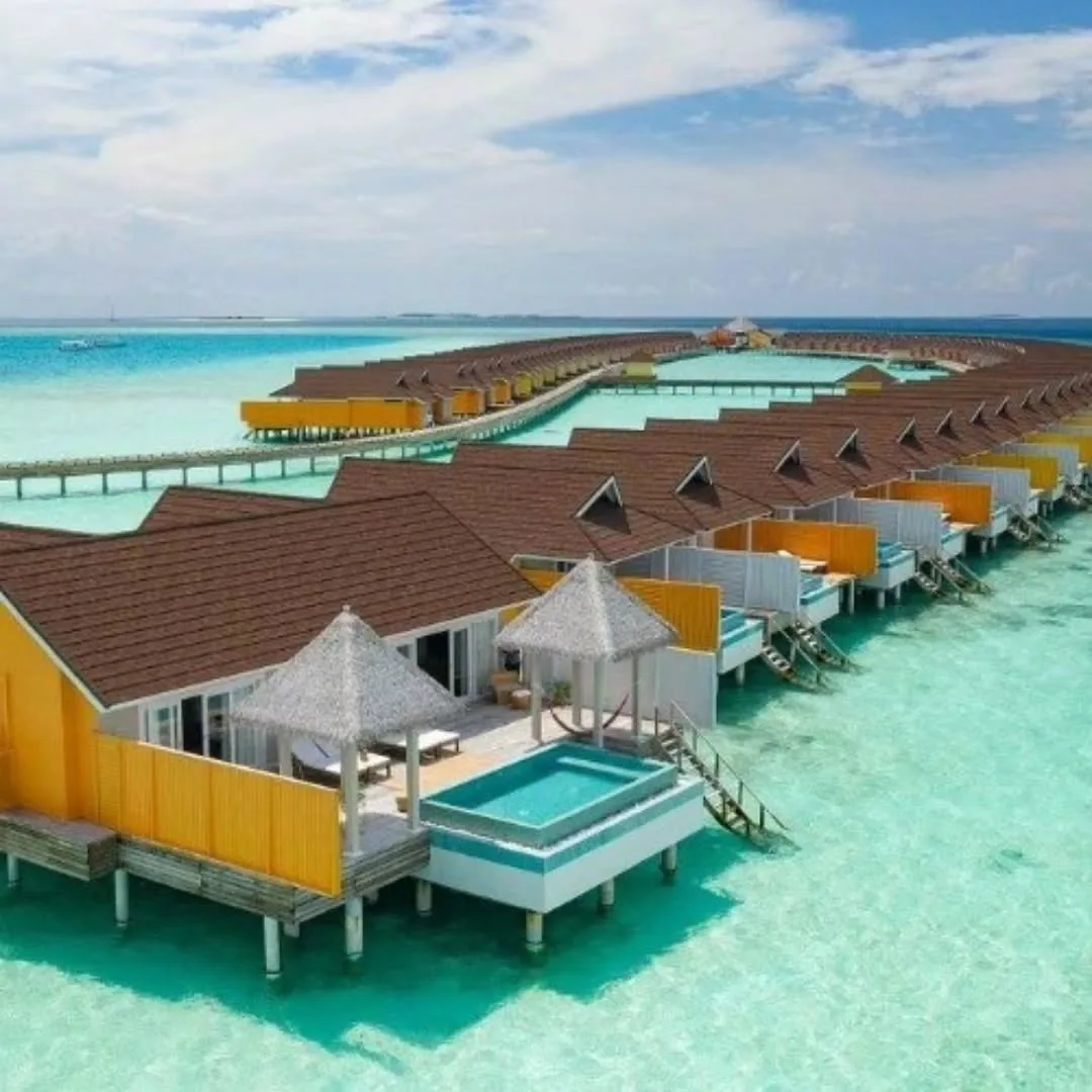 🌴 THE STANDARD MALDIVES by HYATT 5*: стиль, хайп и безупречный сервис!