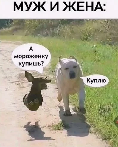Сегодня отмечается День благодарности мужу 🥰