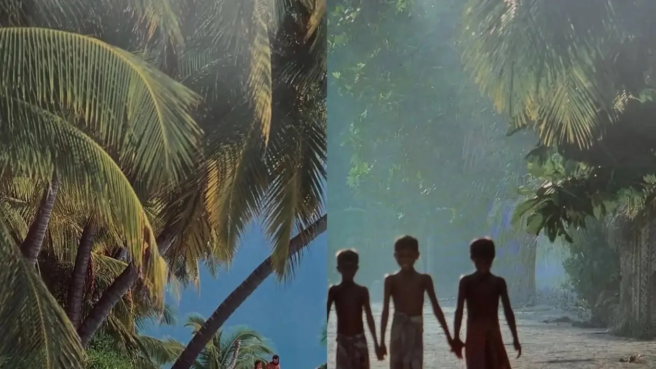 В интернете завирусились редкие фотографии Мальдив 1970-х годов 🌊