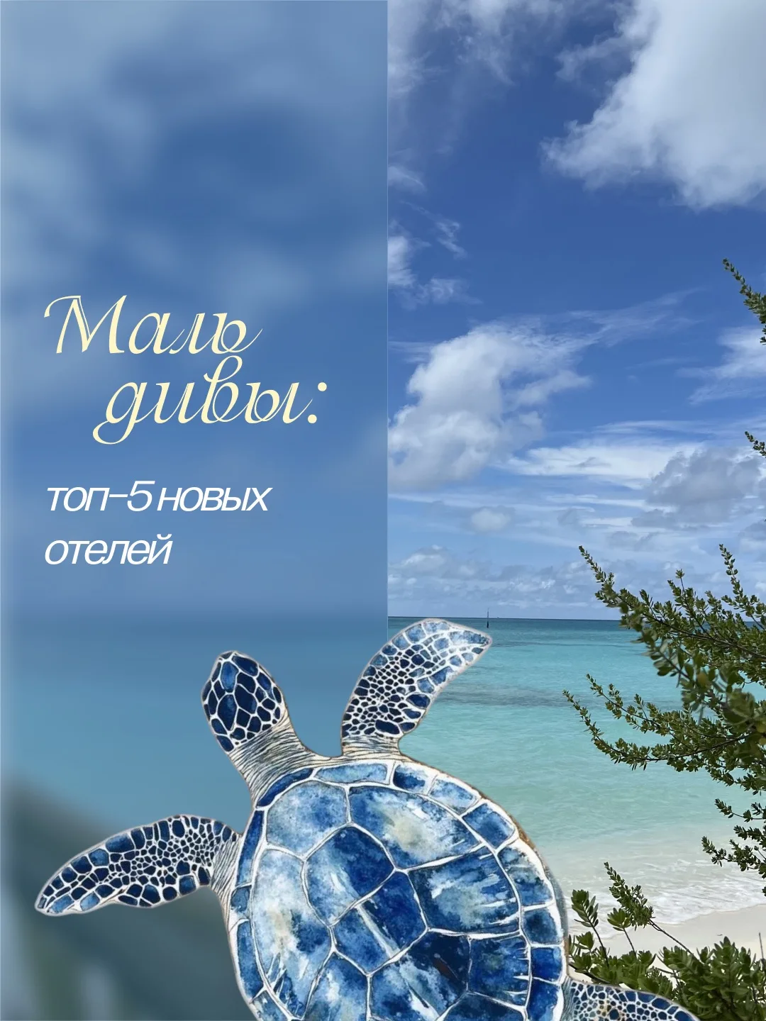 Мальдивы: топ-5 новых отелей, о которых мало кто знает🔥🌊