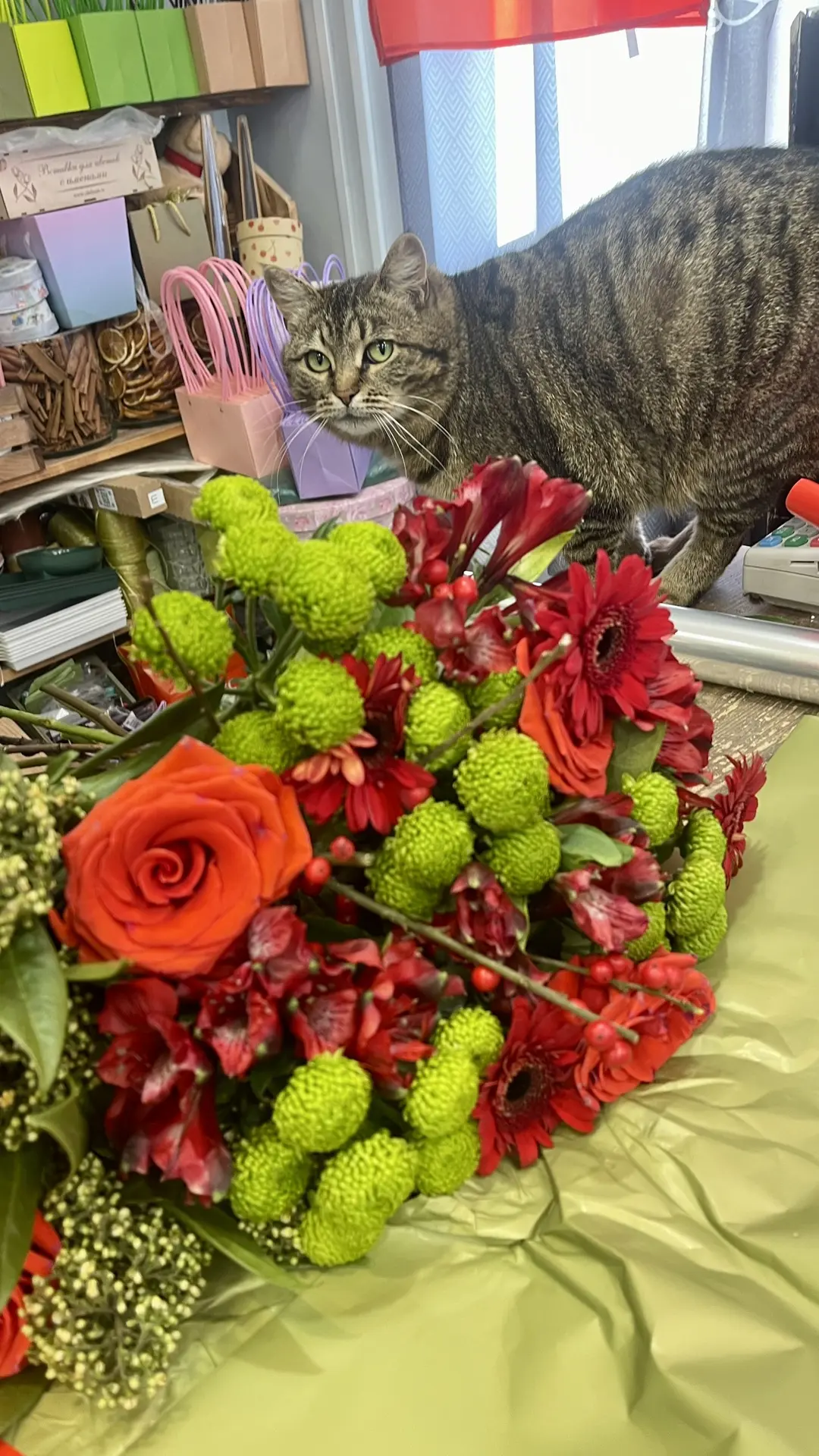 Тяжелые будни нашего контролёра 🐾
