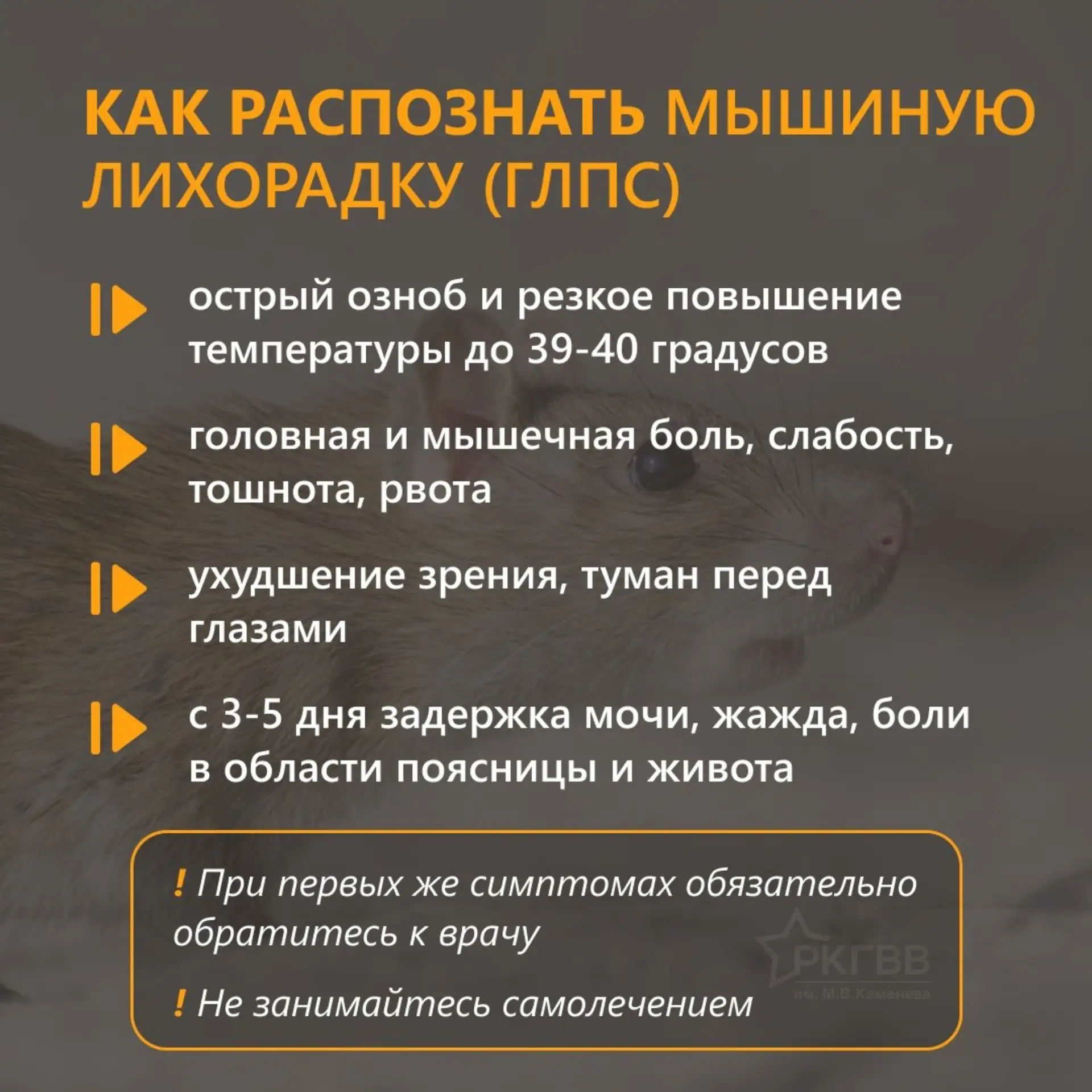 ❗️О клинике и профилактике геморрагической лихорадки: будьте особенно бдительны летом!

Лето — это н