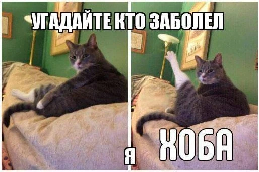 🤒В Удмуртии фиксируется рост заболеваемости респираторными инфекциями.