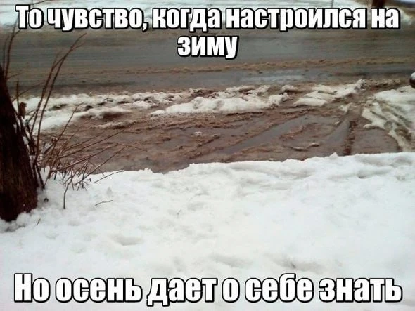 Снег, дождь и похолодание придут в Курганскую область на выходных